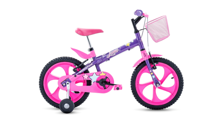 BIC. LUMI ARO-16 ROXO C/CESTA ROXO