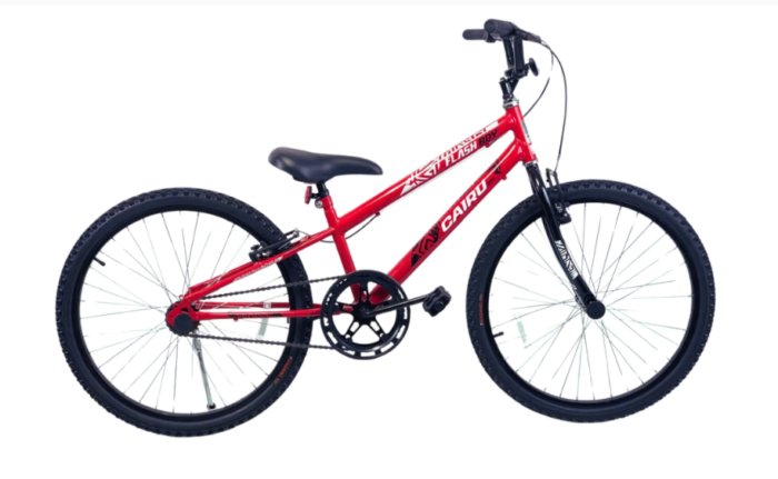 BIC 24 MTB REB FLASH BOY VERM